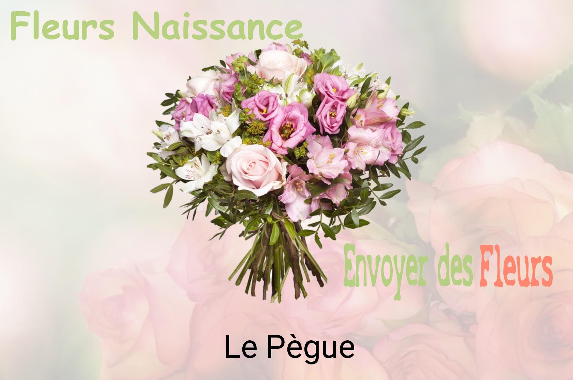 Bouquet de fleurs de naissance livré à Le Pègue